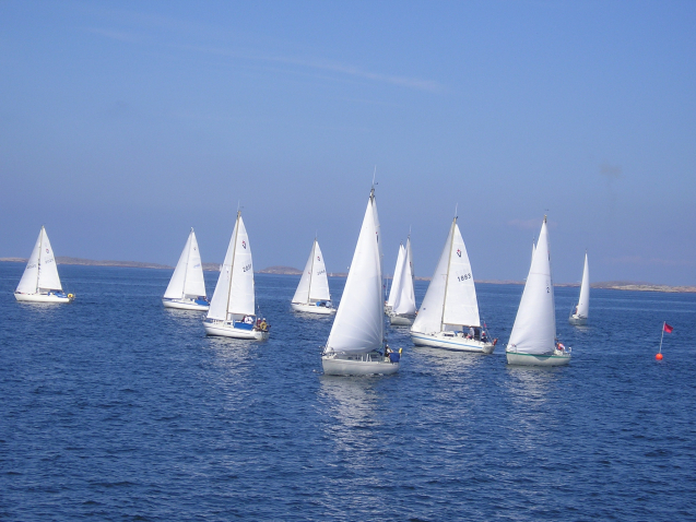 albin-vega-foto-1-2004-0062